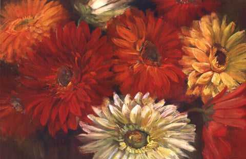Gerberas
