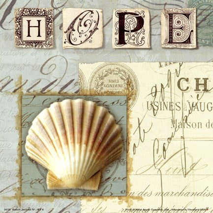 Beach Journal IV