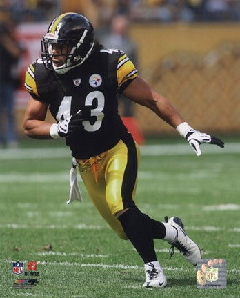 Troy Polamalu 2010 Action