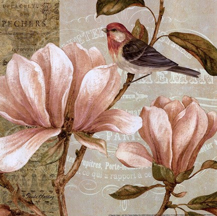 Magnolia Collage I - Mini