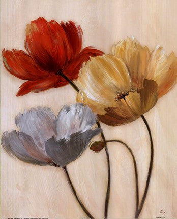 Poppy Palette II