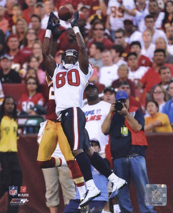 Andre Johnson 2010 Action
