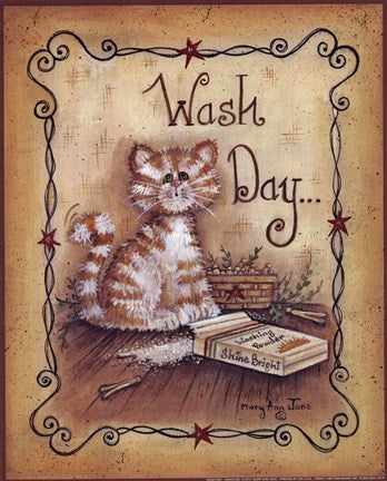 Wash Day - cat