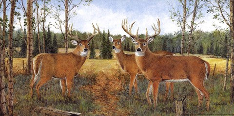 Grazing Deer