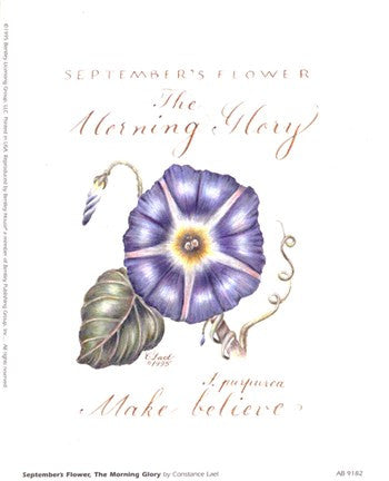 September's Flower, Morning Glory