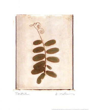 Tendril
