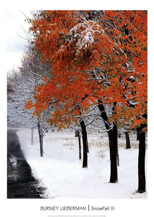 SnowFall III