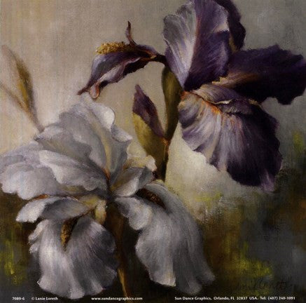 Irises After the Rain