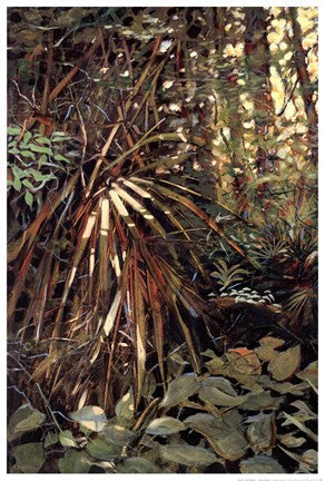 My Jungle I