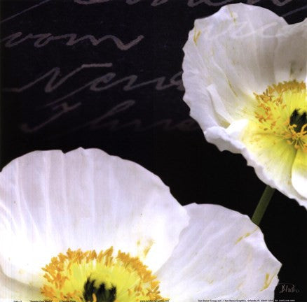 Poppies Over Black I