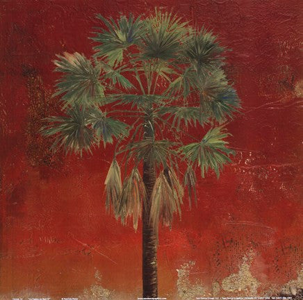 La Palma on Red IV