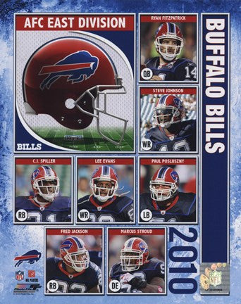 2010 Buffalo Bills Team Composite