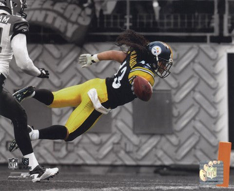 Troy Polamalu 2010 Spotlight Action