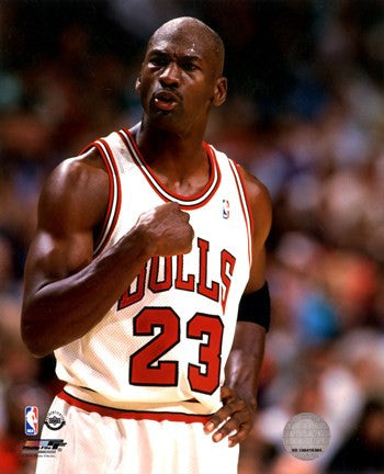 Michael Jordan 1994-95 basketball Action