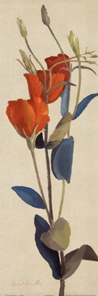 Red Graldiflorum I