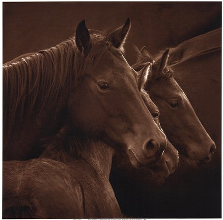 Tenderness
