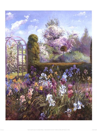 Iris in the Formal Garden