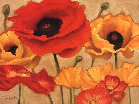 Poppies