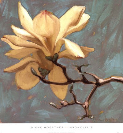 Magnolia 2