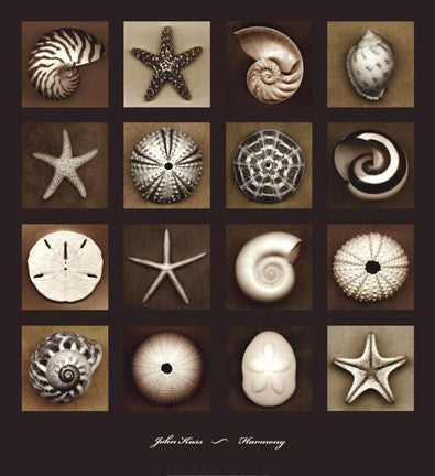 Harmony
