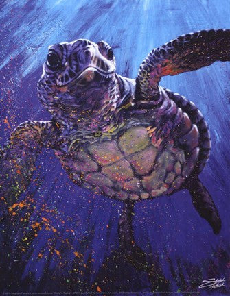 Kemp's Ridley