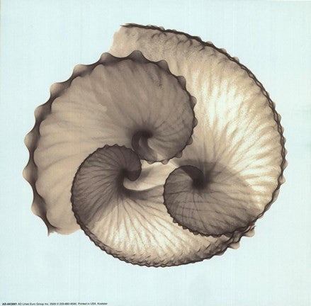 Circles of the Sea II