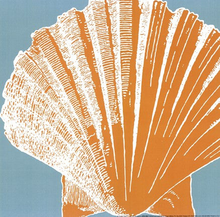 Graphic Shell IV
