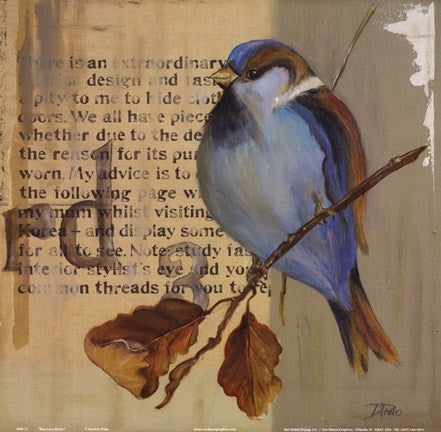 Blue Love Birds I