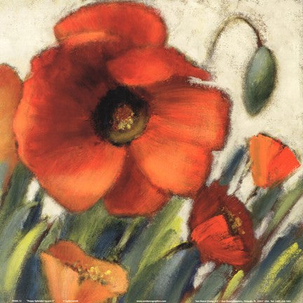 Poppy Splendor Square II