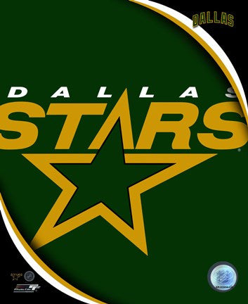 Dallas Stars 2011 Team Logo