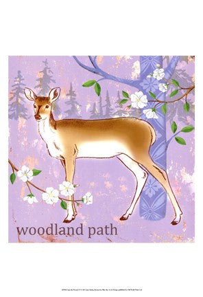 Into the Woods IV
