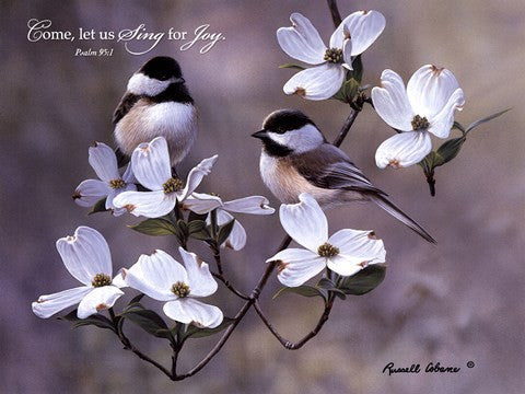 Sing For Joy