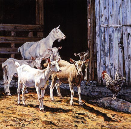Billy and the Kids