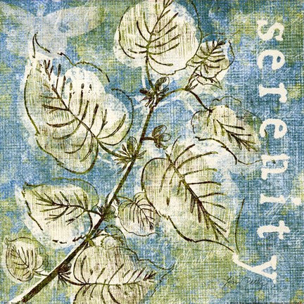 Spring Renewal III