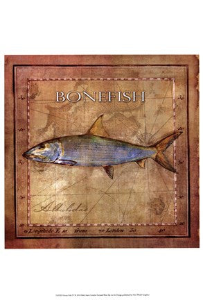 Ocean Fish IV