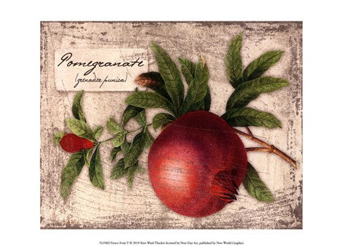 Fresco Fruit V