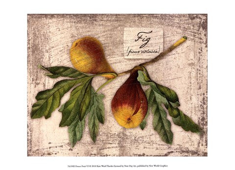 Fresco Fruit VI