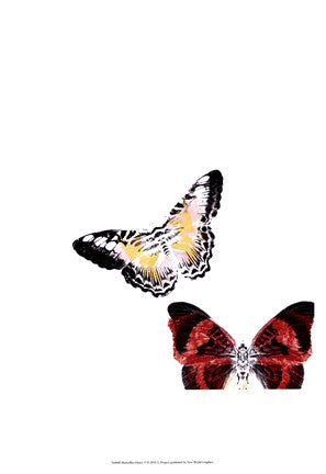 Butterflies Dance V
