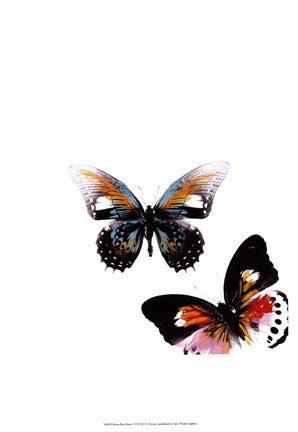 Butterflies Dance VI