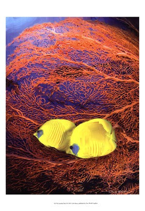 Jeweled Fish II