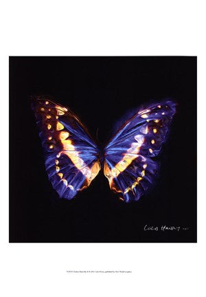 Techno Butterfly II
