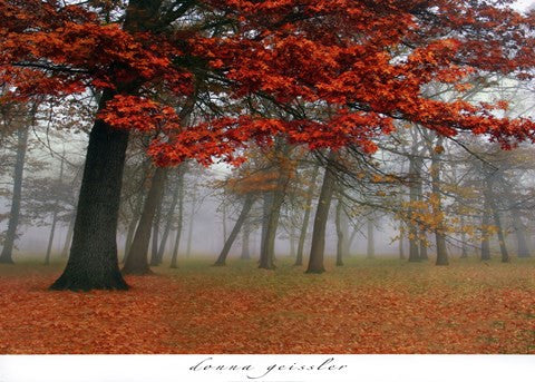 Autumn Mist I