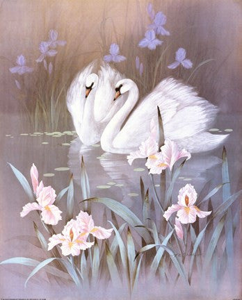 Swans With Waterlilies