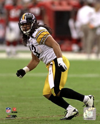 Troy Polamalu 2011 Action