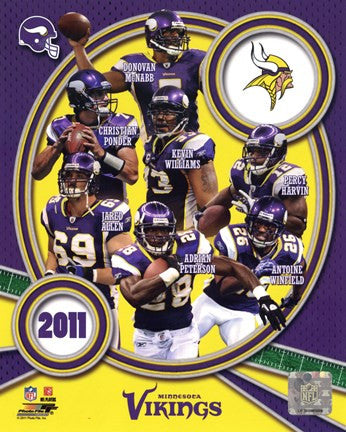 Minnesota Vikings 2011 Team Composite