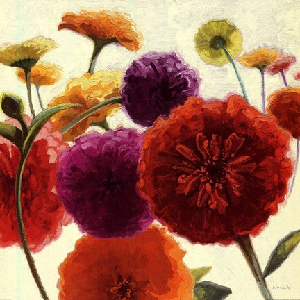 Pure Palette Zinnias