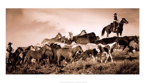 Gathering the Herd