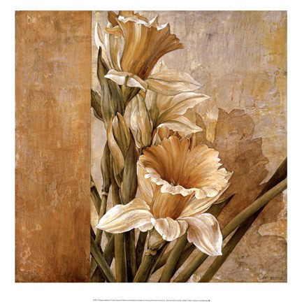 Champagne Daffodils II