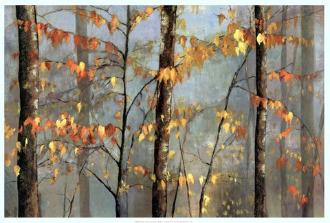 Delicate Branches