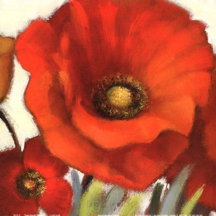 Poppy Splendor Square I